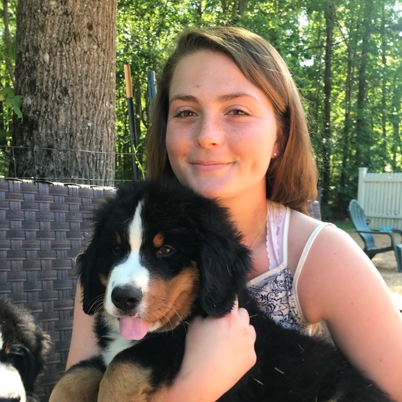 Meet your Posher, Chase - Picture 1 of 1